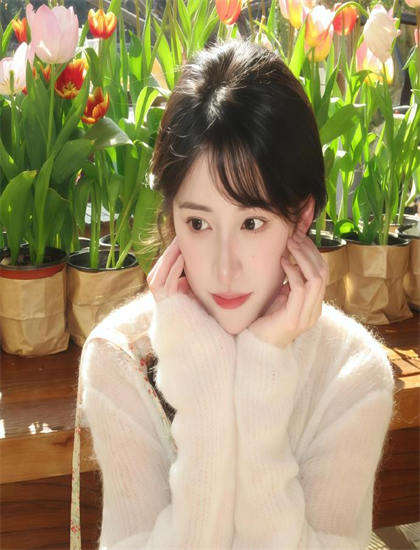 新闻女王电视剧在线观看免费高清_女人头像_追虎擒龙免费观看